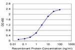 FXN Antibody in ELISA (ELISA)