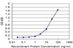 FTL Antibody in ELISA (ELISA)