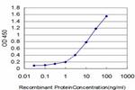 FYN Antibody in ELISA (ELISA)