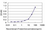 FYN Antibody in ELISA (ELISA)