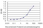 FZD2 Antibody in ELISA (ELISA)