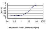 GABBR1 Antibody in ELISA (ELISA)