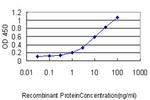 GABPA Antibody in ELISA (ELISA)