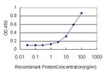 GABPA Antibody in ELISA (ELISA)