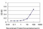 GABPA Antibody in ELISA (ELISA)