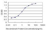 GAS2 Antibody in ELISA (ELISA)