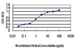 GATA2 Antibody in ELISA (ELISA)