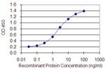 GATA4 Antibody in ELISA (ELISA)