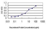 GCG Antibody in ELISA (ELISA)