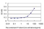 GCLM Antibody in ELISA (ELISA)