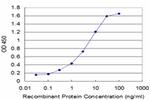 GLRA1 Antibody in ELISA (ELISA)