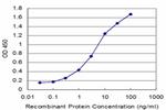 GLRA1 Antibody in ELISA (ELISA)