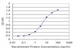 GLRA1 Antibody in ELISA (ELISA)