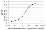 GLS Antibody in ELISA (ELISA)