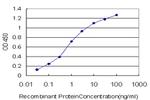 GLUL Antibody in ELISA (ELISA)