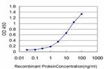 GNAI2 Antibody in ELISA (ELISA)