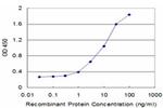 SFN Antibody in ELISA (ELISA)