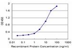 SFN Antibody in ELISA (ELISA)