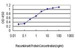 GPR24 Antibody in ELISA (ELISA)