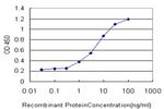 GRK4 Antibody in ELISA (ELISA)