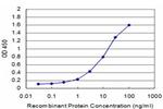 GRIA1 Antibody in ELISA (ELISA)