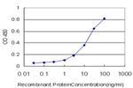 GRID2 Antibody in ELISA (ELISA)