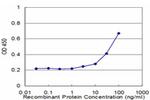 GRIN2B Antibody in ELISA (ELISA)