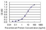 GRLF1 Antibody in ELISA (ELISA)