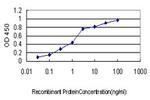 CXCL1 Antibody in ELISA (ELISA)