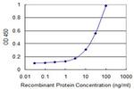 CXCL1 Antibody in ELISA (ELISA)