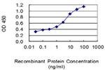 CXCL2 Antibody in ELISA (ELISA)