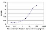 GTF2A2 Antibody in ELISA (ELISA)