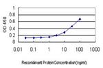 GUCY2C Antibody in ELISA (ELISA)