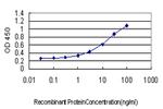 HBB Antibody in ELISA (ELISA)