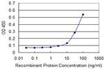 HBZ Antibody in ELISA (ELISA)