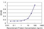 HCLS1 Antibody in ELISA (ELISA)