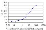 HCLS1 Antibody in ELISA (ELISA)