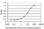 HCLS1 Antibody in ELISA (ELISA)