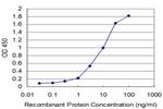 HCLS1 Antibody in ELISA (ELISA)