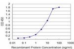 HCLS1 Antibody in ELISA (ELISA)