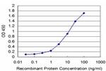 HCLS1 Antibody in ELISA (ELISA)