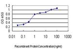 HFE Antibody in ELISA (ELISA)