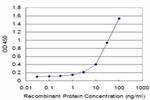 CFHR1 Antibody in ELISA (ELISA)