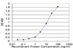 HLA-DMB Antibody in ELISA (ELISA)