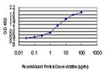 FOXA2 Antibody in ELISA (ELISA)