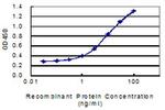 HNF4A Antibody in ELISA (ELISA)