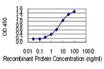 HNMT Antibody in ELISA (ELISA)