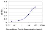 HOXA5 Antibody in ELISA (ELISA)