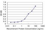 HOXA5 Antibody in ELISA (ELISA)