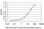 HOXA11 Antibody in ELISA (ELISA)